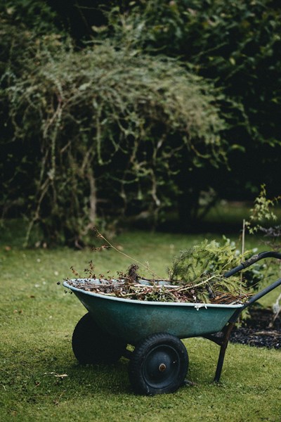 Gartenpflege & Gartenbau