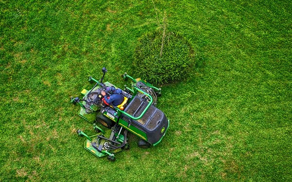 Gartenpflege in Mainz